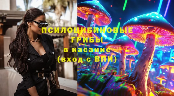 крисы Сясьстрой