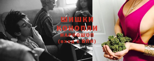 не бодяженный Бородино