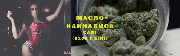 крисы Сясьстрой