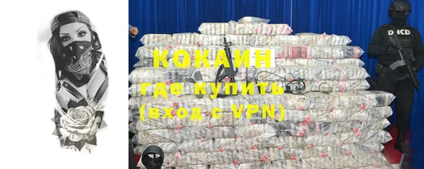 крисы Сясьстрой
