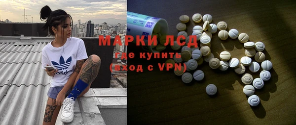 крисы Сясьстрой