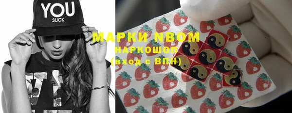 крисы Сясьстрой