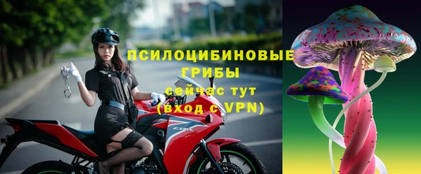 не бодяженный Бородино