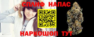 шишки Балаково