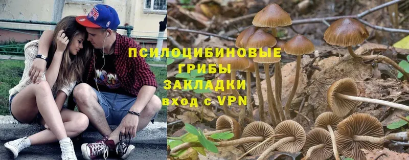 блэк спрут ТОР  купить  сайты  Бугульма  Галлюциногенные грибы мухоморы 