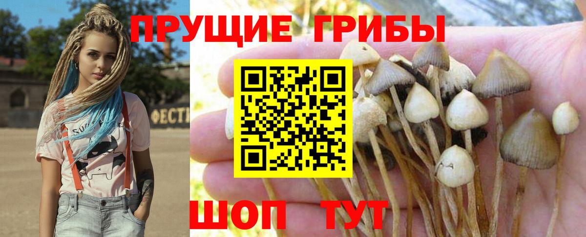 Бугульма  купить наркотики цена  Вход с VPN  Галлюциногенные грибы Cubensis 